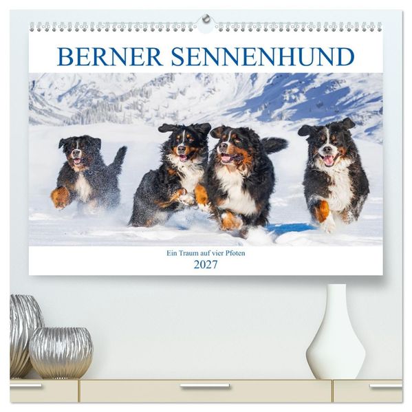 Berner Sennenhund - Ein Traum auf vier Pfoten (hochwertiger Premium Wandkalender 2027 DIN A2 quer) Kunstdruck in Hochglanz