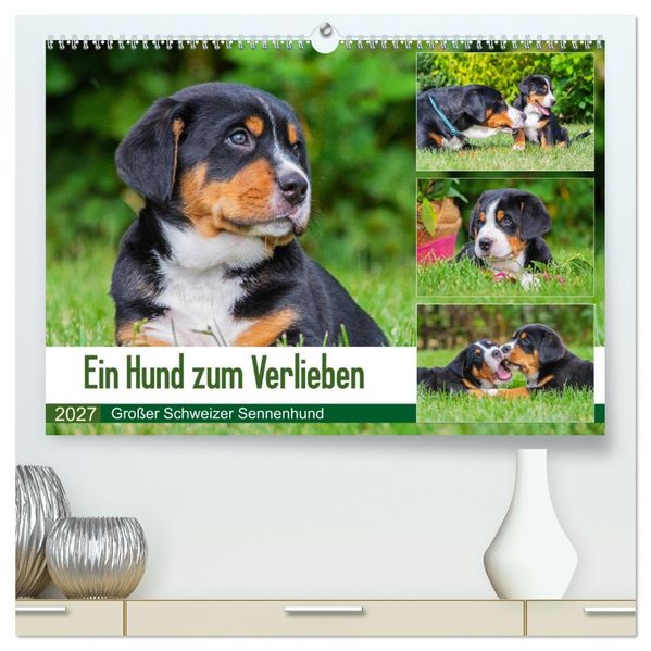 Ein Hund zum Verlieben - Großer Schweizer Sennenhund (hochwertiger Premium Wandkalender 2027 DIN A2 quer) Kunstdruck in Hochglanz