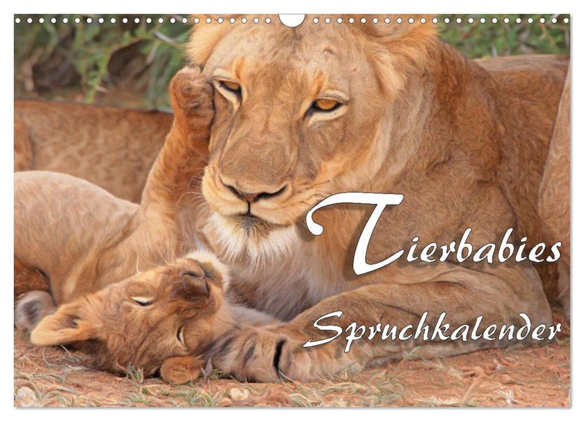 Tierbabies - Spruchkalender (Wandkalender 2027 DIN A3 quer) CALVENDO Monatskalender