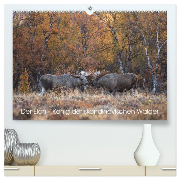 Der Elch - König der skandinavischen Wälder (hochwertiger Premium Wandkalender 2027 DIN A2 quer) Kunstdruck in Hochglanz