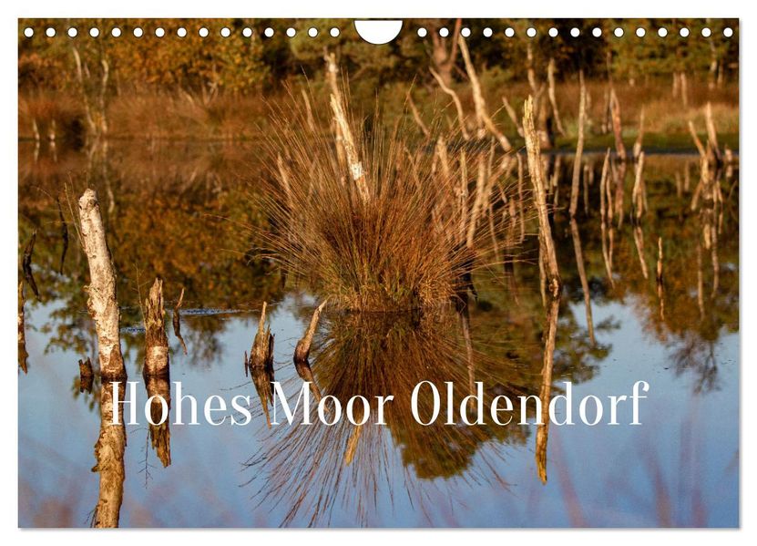 Hohes Moor Oldendorf (Wandkalender 2027 DIN A4 quer) CALVENDO Monatskalender