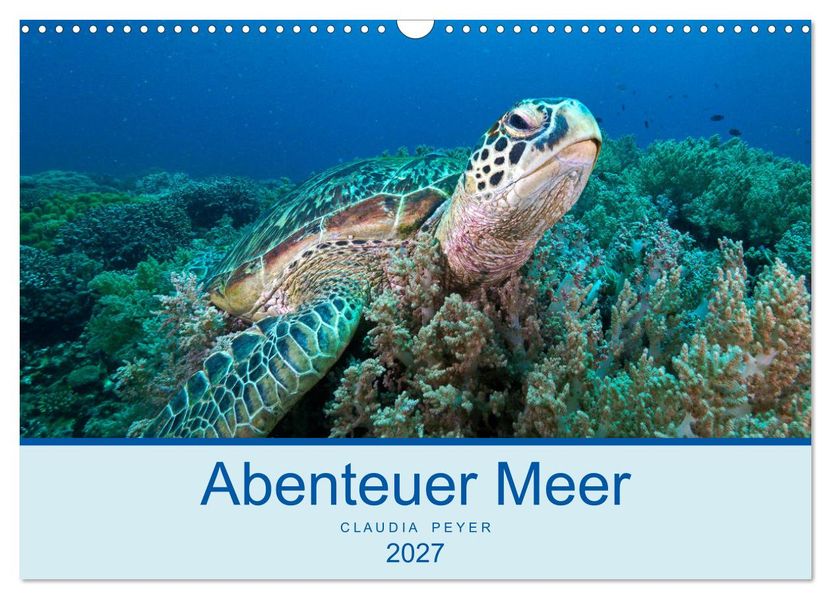 Abenteuer Unterwasser (Wandkalender 2027 DIN A3 quer) CALVENDO Monatskalender