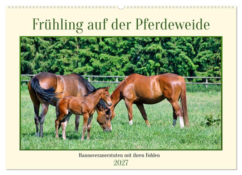 Frühling auf der Pferdeweide (Wandkalender 2027 DIN A2 quer) CALVENDO Monatskalender