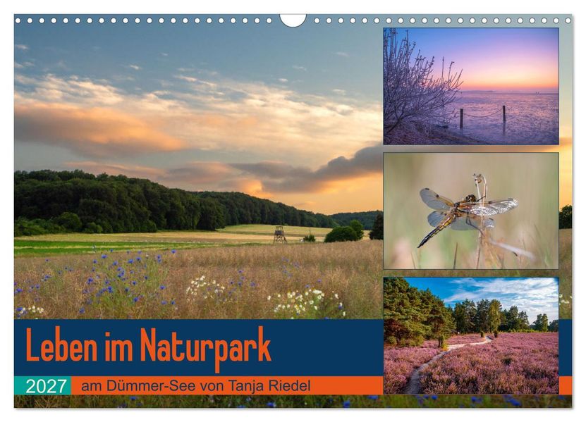Leben am Naturpark um den Dümmer See (Wandkalender 2027 DIN A3 quer) CALVENDO Monatskalender