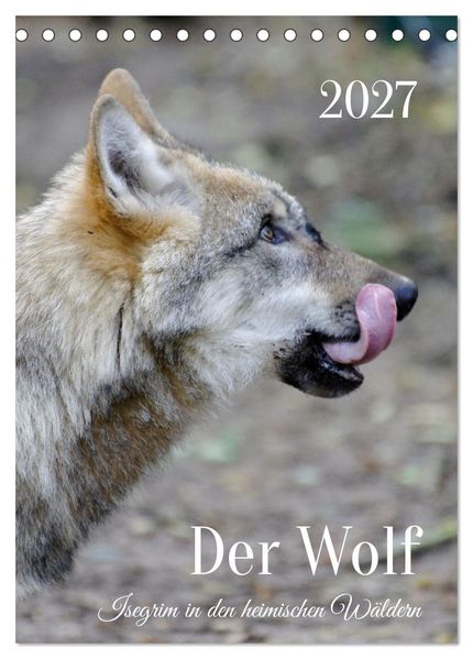 Der Wolf - Isegrim in den heimischen Wäldern - Kalender 2027 (Tischkalender 2027 DIN A5 hoch) CALVENDO Monatskalender