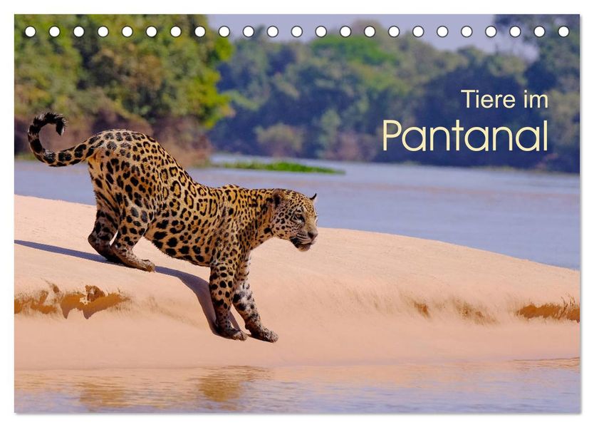 Tiere im Pantanal - Viaje (Tischkalender 2027 DIN A5 quer) CALVENDO Monatskalender