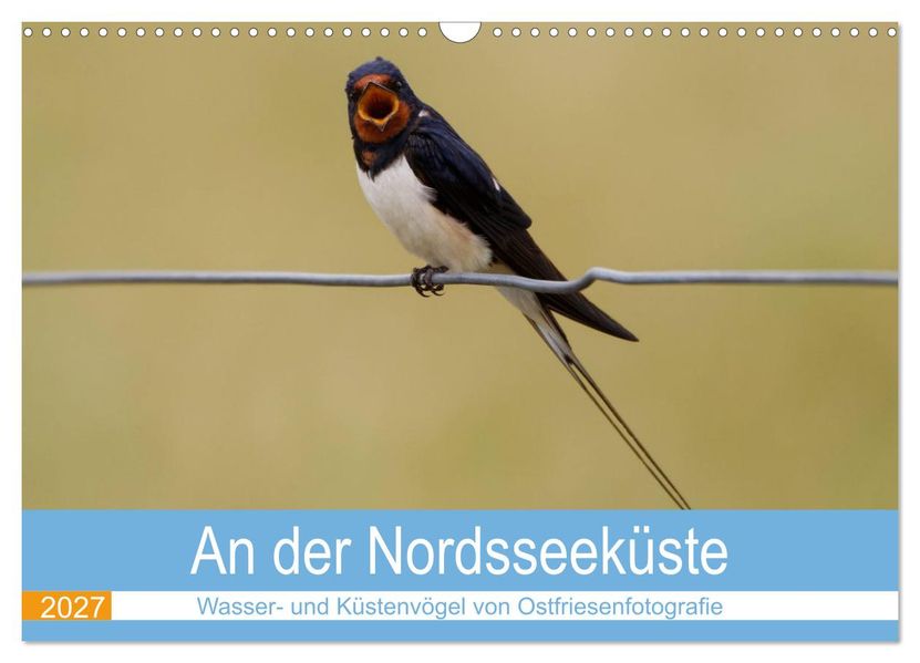 An der Nordseeküste - Wasser- und Küstenvögel fotografiert von Ostfriesenfotografie (Wandkalender 2027 DIN A3 quer) CALVENDO Monatskalender