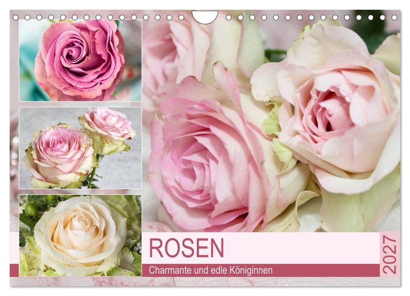 Rosen. Charmante und edle Königinnen (Wandkalender 2027 DIN A4 quer) CALVENDO Monatskalender