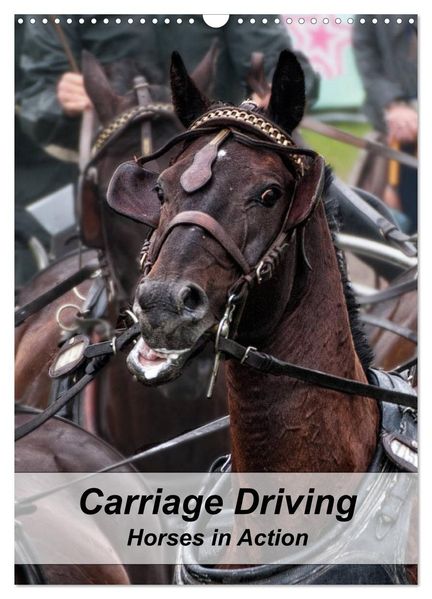 Carriage Driving - Horses in Action (Wall Calendar 2027 DIN A3 portrait) CALVENDO 12 Month Wall Calendar