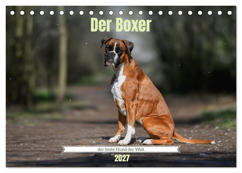 Der Boxer der beste Hund der Welt (Tischkalender 2027 DIN A5 quer) CALVENDO Monatskalender
