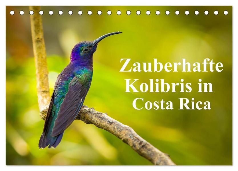 Zauberhafte Kolibris in Costa Rica (Tischkalender 2027 DIN A5 quer) CALVENDO Monatskalender