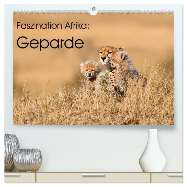 Faszinaton Afrika: Geparde (hochwertiger Premium Wandkalender 2027 DIN A2 quer) Kunstdruck in Hochglanz