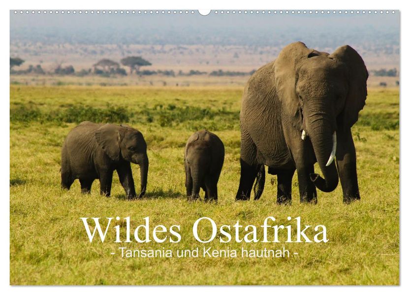 Wildes Ostafrika - Tansania und Kenia hautnah (Wandkalender 2027 DIN A2 quer) CALVENDO Monatskalender