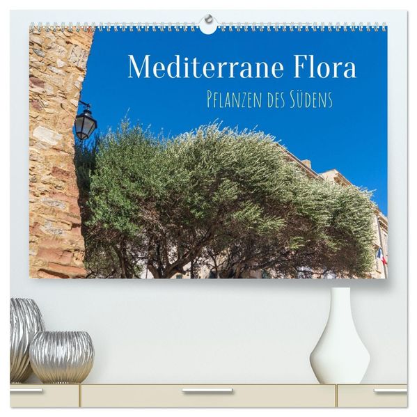Mediterrane Flora - Pflanzen des Südens (hochwertiger Premium Wandkalender 2027 DIN A2 quer) Kunstdruck in Hochglanz