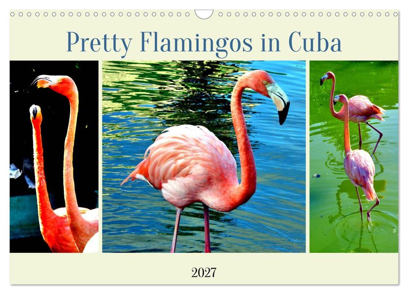 Pretty Flamingos in Cuba (Wandkalender 2027 DIN A3 quer) CALVENDO Monatskalender