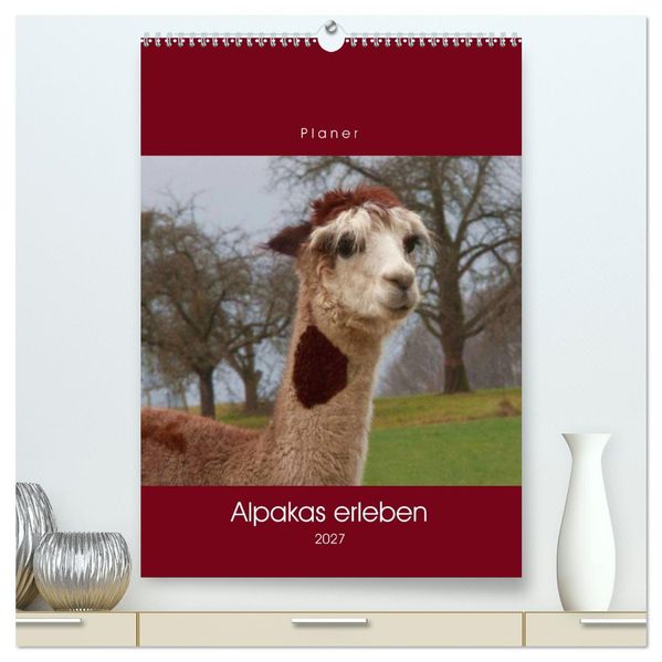 Alpakas erleben (hochwertiger Premium Wandkalender 2027 DIN A2 hoch) Kunstdruck in Hochglanz
