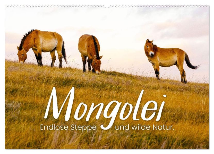 Mongolei - Endlose Steppe und wilde Natur. (Wandkalender 2027 DIN A2 quer) CALVENDO Monatskalender