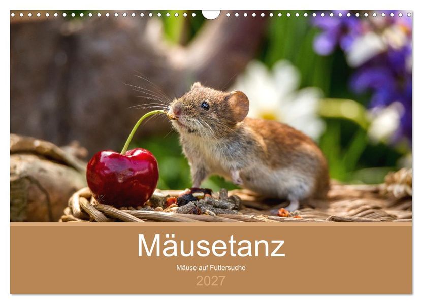 Mäusetanz (Wandkalender 2027 DIN A3 quer) CALVENDO Monatskalender