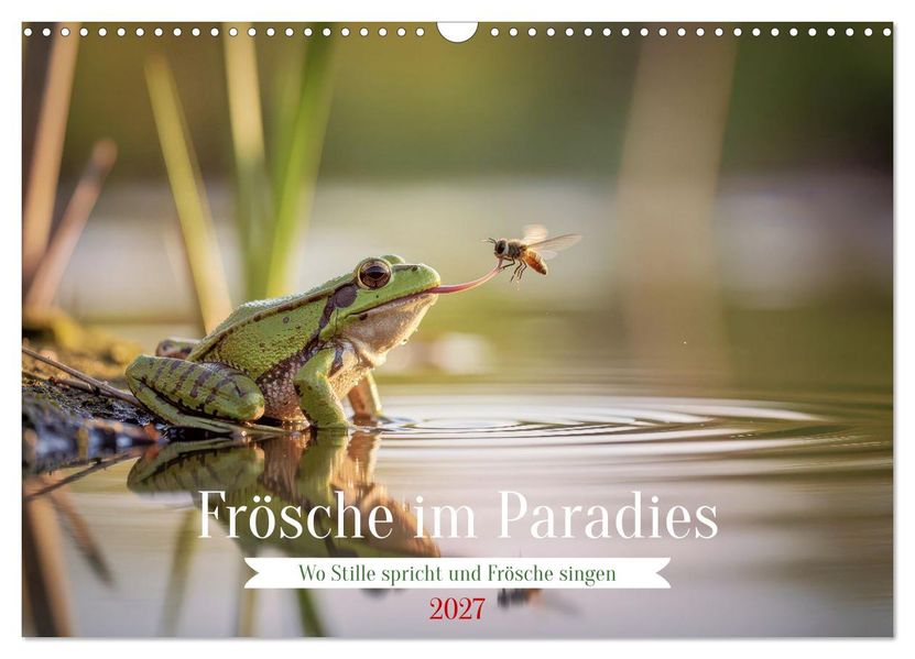 Frösche im Paradies (Wandkalender 2027 DIN A3 quer) CALVENDO Monatskalender