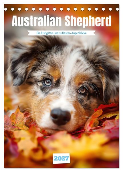 Australian Shepherd (Tischkalender 2027 DIN A5 hoch) CALVENDO Monatskalender
