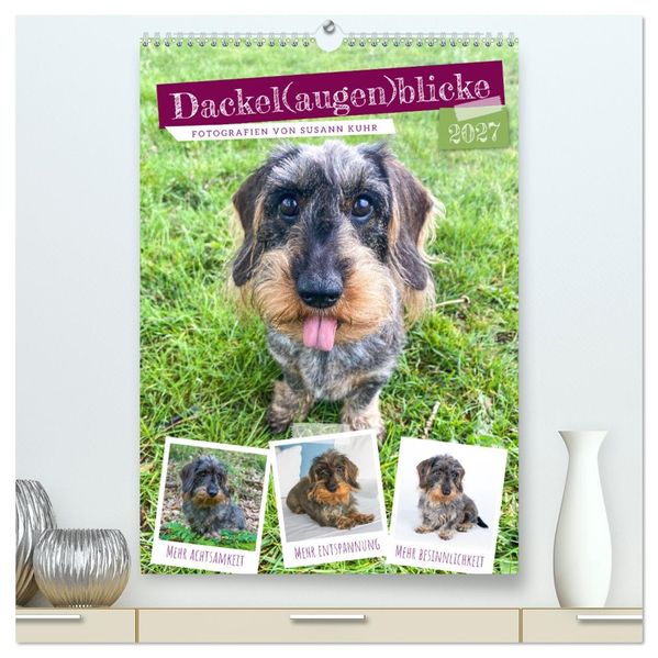Dackel(augen)blicke (hochwertiger Premium Wandkalender 2027 DIN A2 hoch) Kunstdruck in Hochglanz