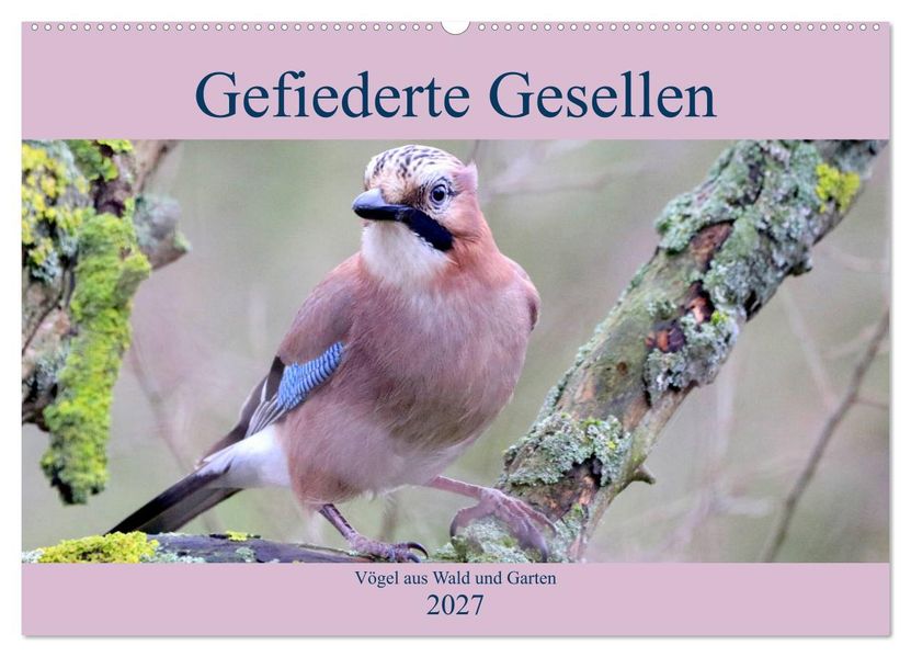 Gefiederte Gesellen - Vögel aus Wald und Garten (Wandkalender 2027 DIN A2 quer) CALVENDO Monatskalender