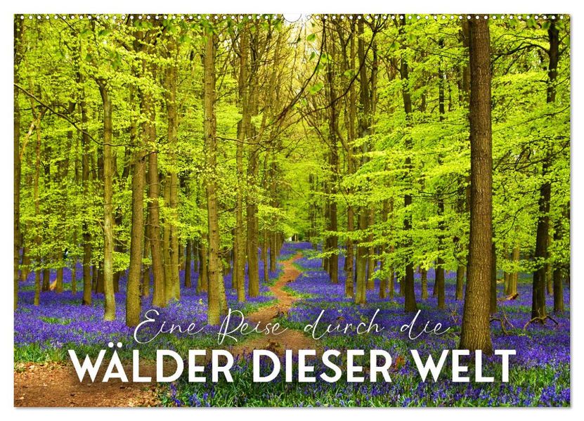 Eine Reise durch die Wälder dieser Welt (Wandkalender 2027 DIN A2 quer) CALVENDO Monatskalender