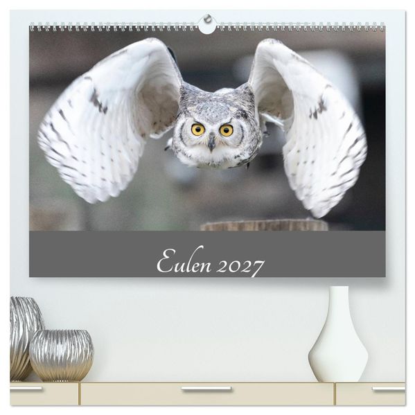 Eulen 2027 (hochwertiger Premium Wandkalender 2027 DIN A2 quer) Kunstdruck in Hochglanz
