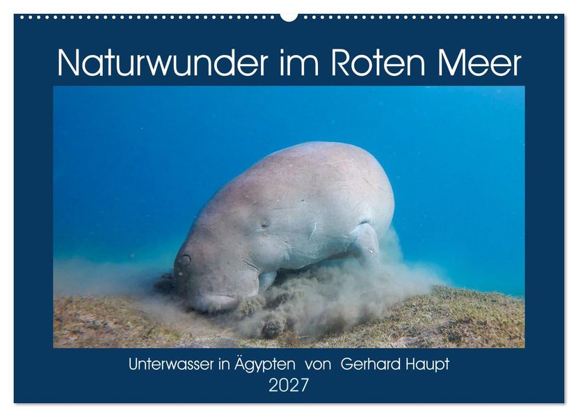 Naturwunder im Roten Meer (Wandkalender 2027 DIN A2 quer) CALVENDO Monatskalender