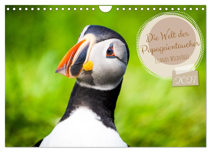 Die Welt der Papageientaucher - Islands Wildvögel (Wandkalender 2027 DIN A4 quer) CALVENDO Monatskalender