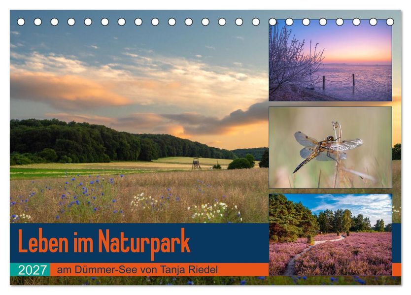 Leben am Naturpark um den Dümmer See (Tischkalender 2027 DIN A5 quer) CALVENDO Monatskalender