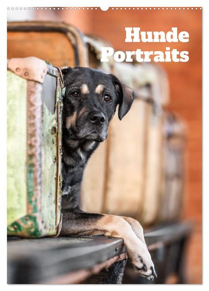 Hundeportraits - Monatskalender (Wandkalender 2027 DIN A2 hoch) CALVENDO Monatskalender