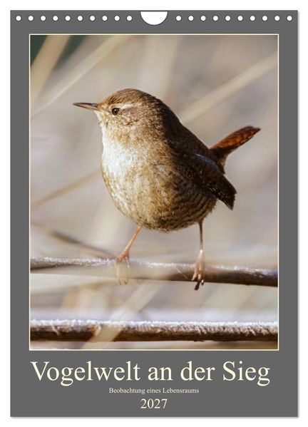 Vogelwelt an der Sieg (Wandkalender 2027 DIN A4 hoch) CALVENDO Monatskalender
