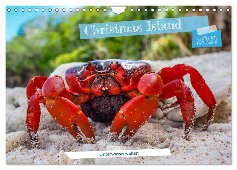 Unterwasserwelt Christmas Island (Wandkalender 2027 DIN A4 quer) CALVENDO Monatskalender