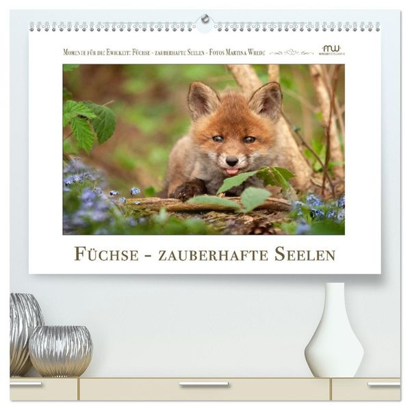 Füchse - zauberhafte Seelen (hochwertiger Premium Wandkalender 2027 DIN A2 quer) Kunstdruck in Hochglanz