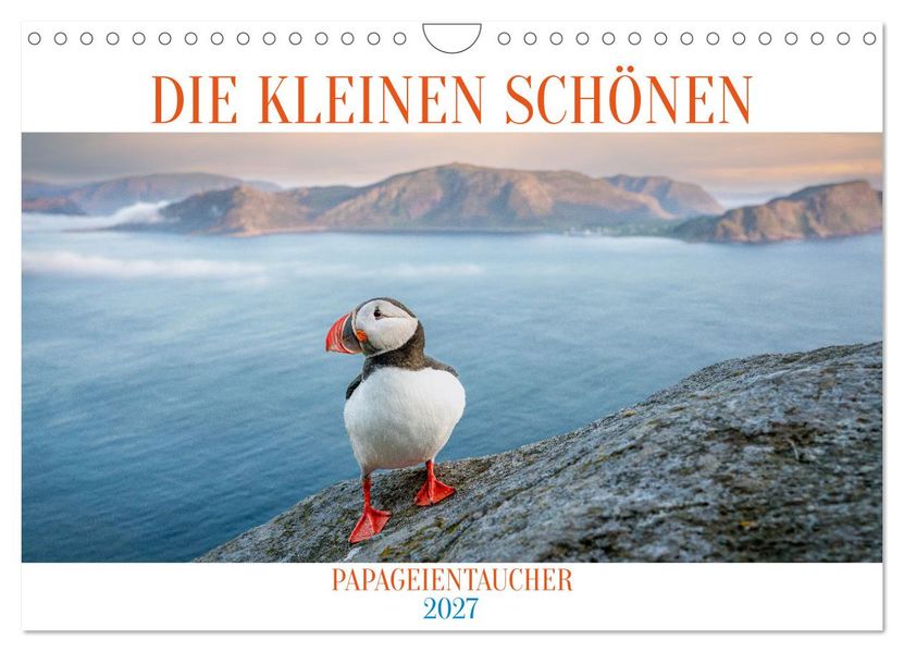 Die kleinen schönen (Wandkalender 2027 DIN A4 quer) CALVENDO Monatskalender