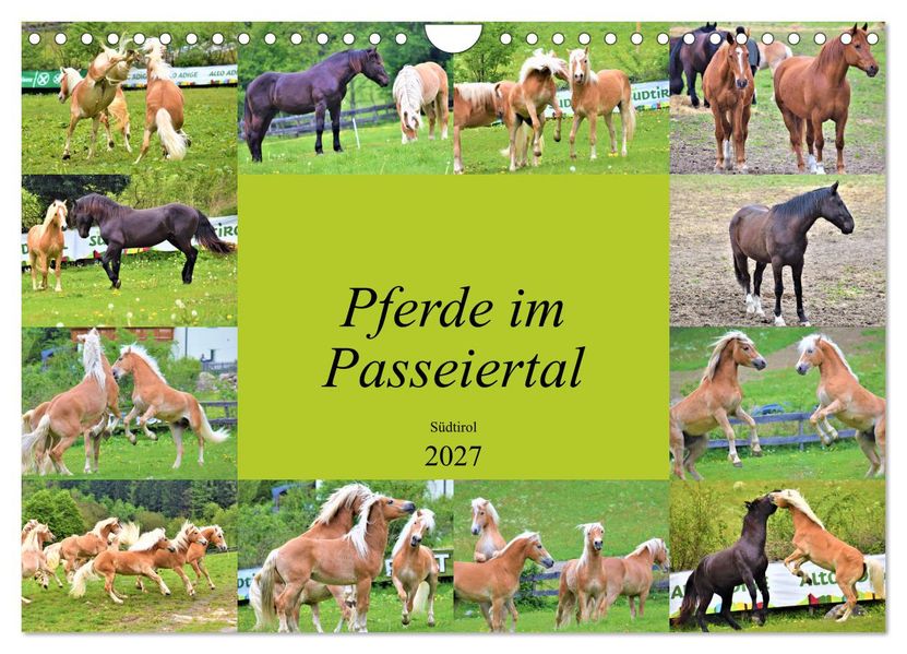 Pferde im Passeiertal (Wandkalender 2027 DIN A4 quer) CALVENDO Monatskalender