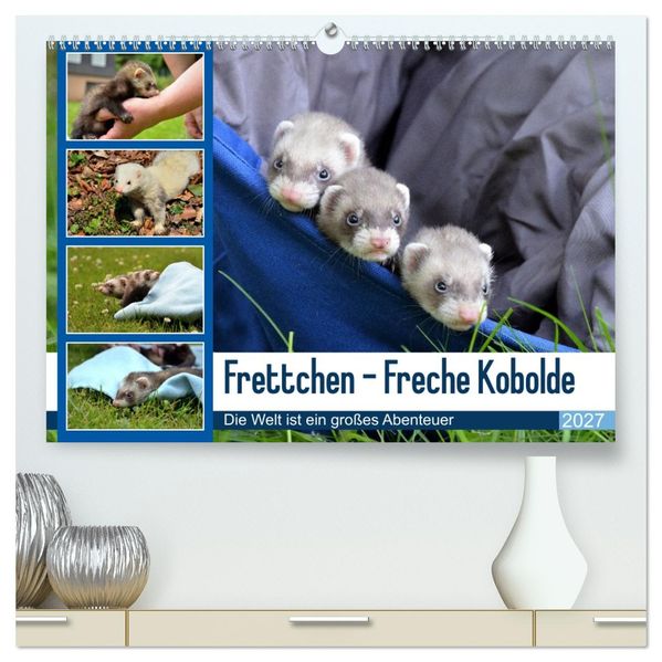 Frettchen - Freche Kobolde (hochwertiger Premium Wandkalender 2027 DIN A2 quer) Kunstdruck in Hochglanz