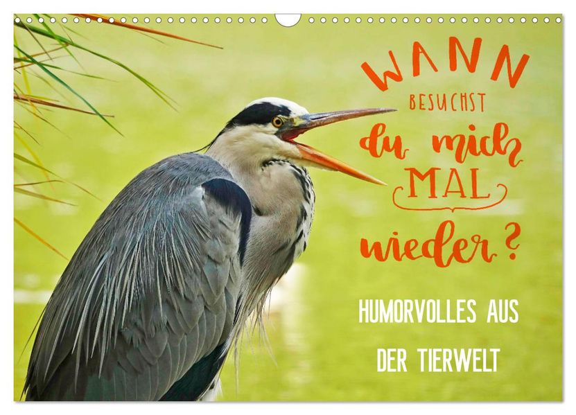 Humorvolles aus der Tierwelt (Wandkalender 2027 DIN A3 quer) CALVENDO Monatskalender