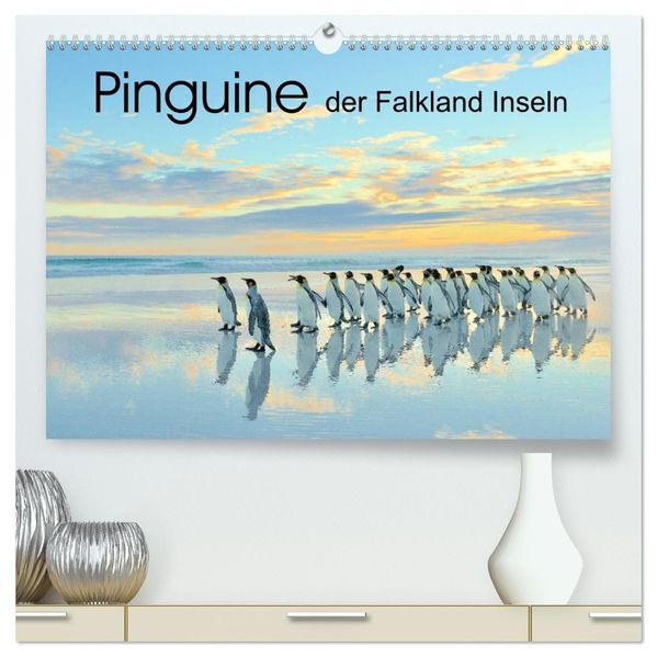 Pinguine der Falkland Inseln (hochwertiger Premium Wandkalender 2027 DIN A2 quer) Kunstdruck in Hochglanz