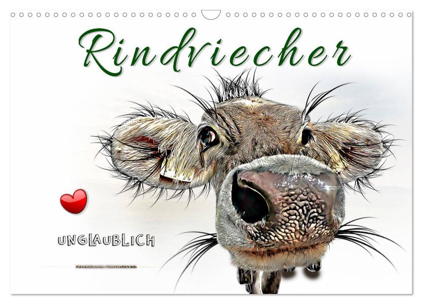 Rindviecher unglaublich (Wandkalender 2027 DIN A3 quer) CALVENDO Monatskalender
