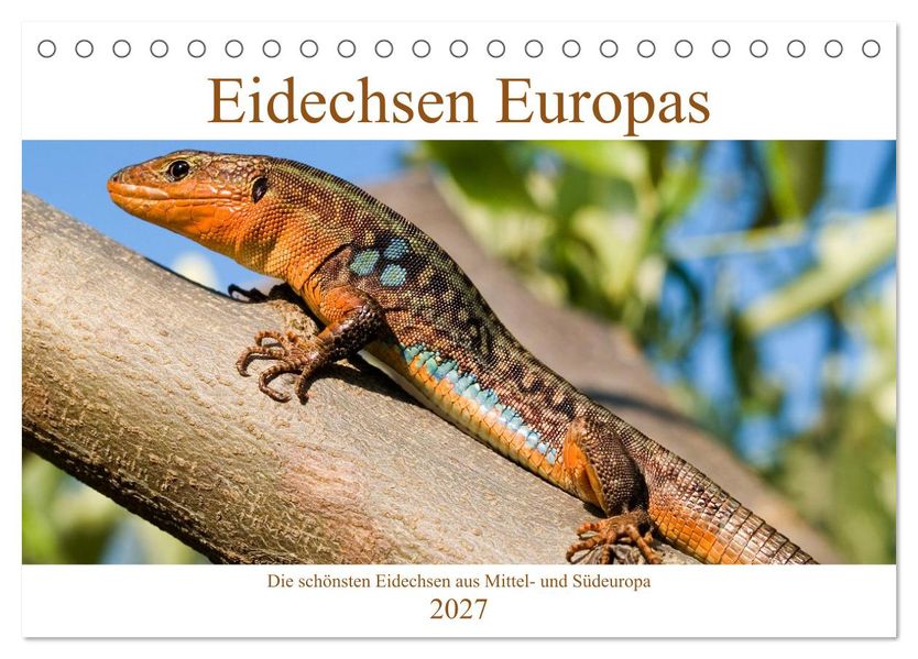 Eidechsen Europas (Tischkalender 2027 DIN A5 quer) CALVENDO Monatskalender