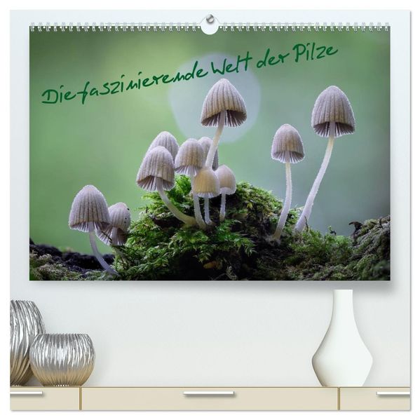 Die faszinierende Welt der Pilze (hochwertiger Premium Wandkalender 2027 DIN A2 quer) Kunstdruck in Hochglanz