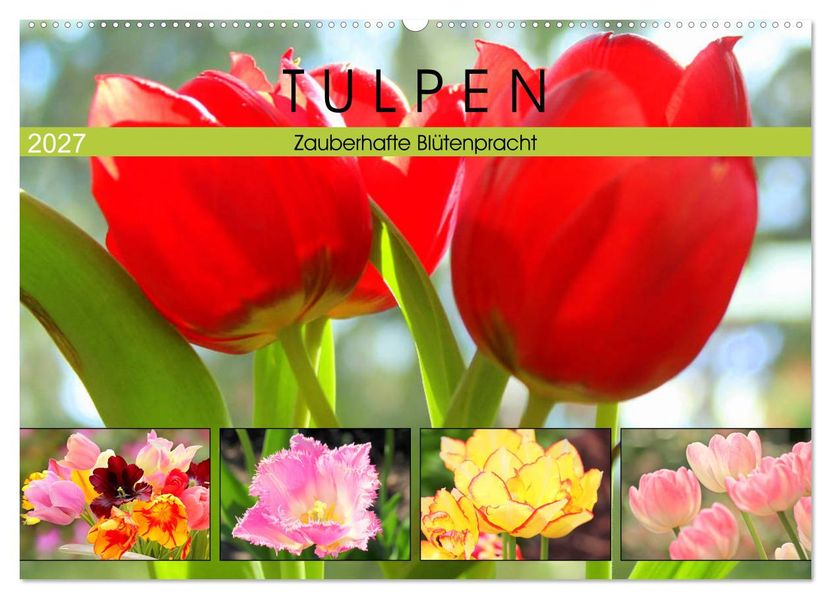 Tulpen. Zauberhafte Blütenpracht (Wandkalender 2027 DIN A2 quer) CALVENDO Monatskalender