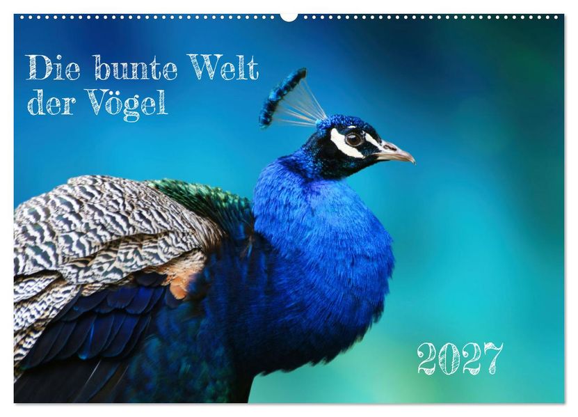 Die bunte Welt der Vögel (Wandkalender 2027 DIN A2 quer) CALVENDO Monatskalender