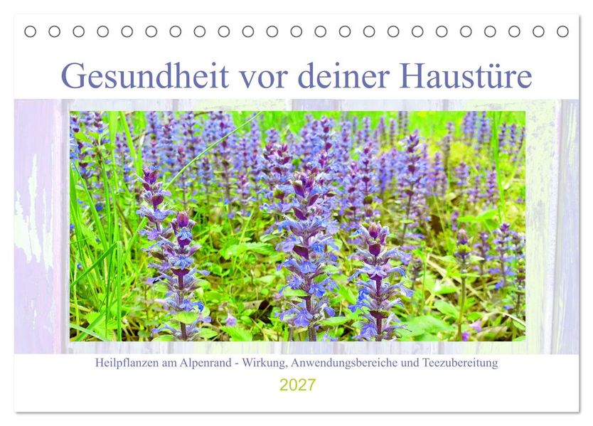 Gesundheit vor deiner Haustüre - Heilpflanzen am Alpenrand - Wirkung Anwendungsbereiche und Teezubereitung (Tischkalender 2027 DIN A5 quer) CALVENDO Monatskalender
