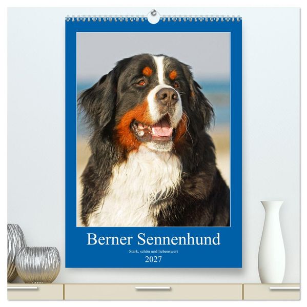Berner Sennenhund - stark schön und liebenswert (hochwertiger Premium Wandkalender 2027 DIN A2 hoch) Kunstdruck in Hochglanz