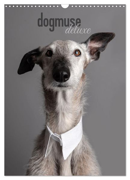 dogmuse deluxe (Wandkalender 2027 DIN A3 hoch) CALVENDO Monatskalender