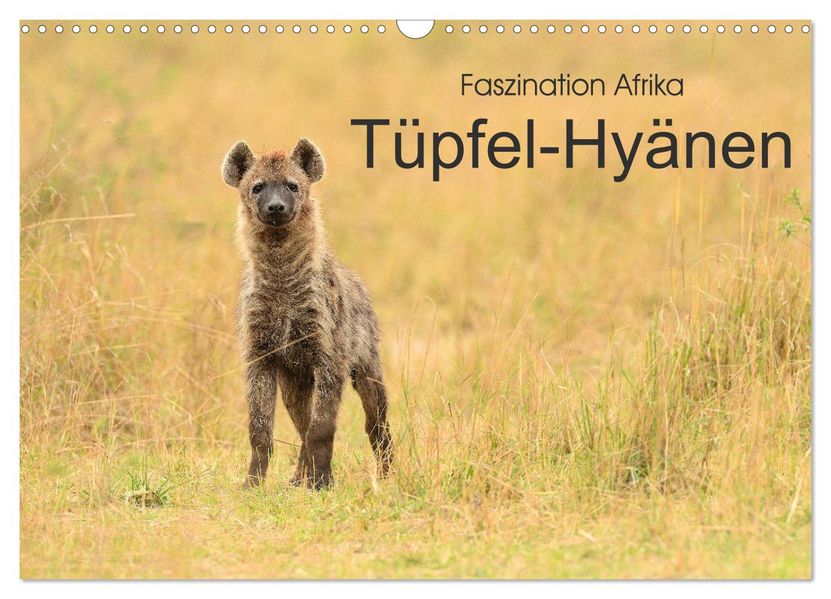 Faszination Afrika: Tüpfel-Hyänen (Wandkalender 2027 DIN A3 quer) CALVENDO Monatskalender