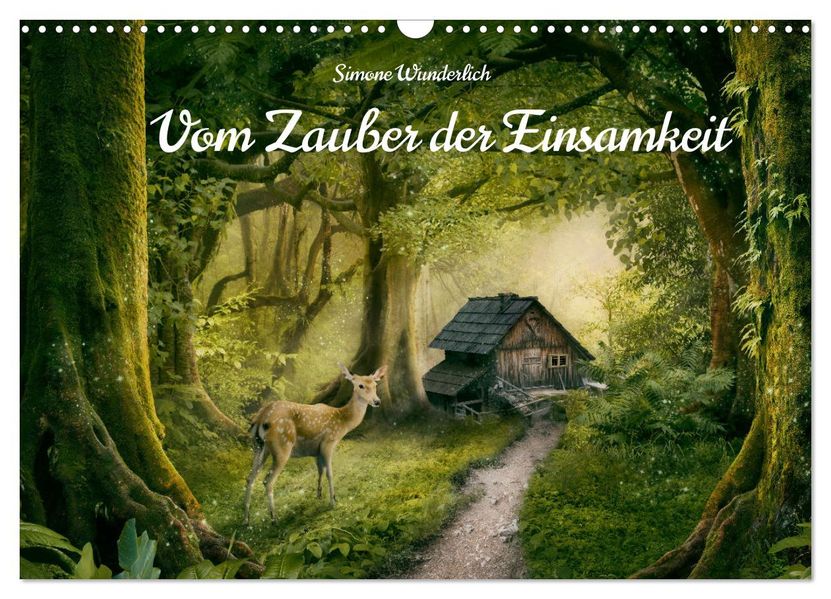 Vom Zauber der Einsamkeit (Wandkalender 2027 DIN A3 quer) CALVENDO Monatskalender